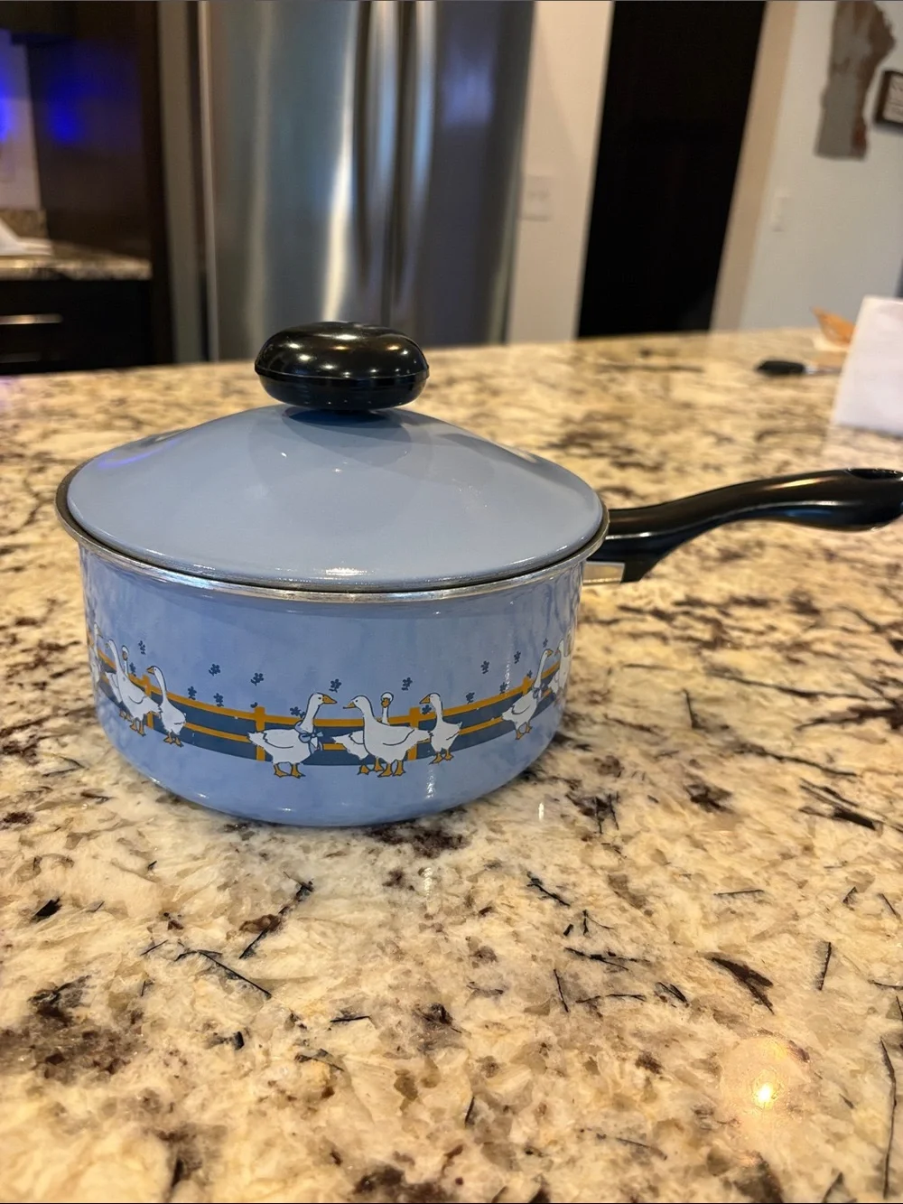 Vintage 1980s Meyer Cookware Blue Ribbon Country Goose Pot Set Great Condition